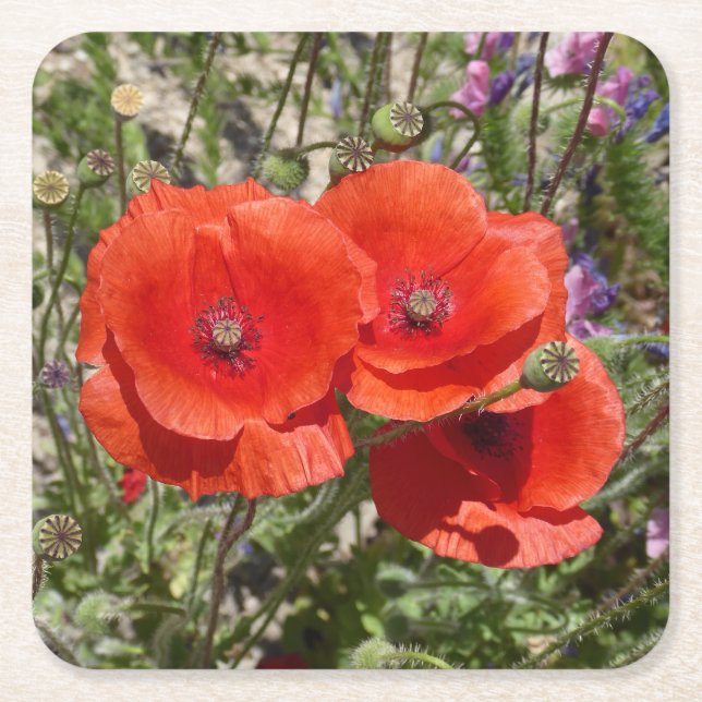 POPPY FLOWERS SQUARE PAPER COASTER (Front)
