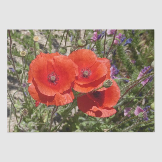 POPPY FLOWERS TISSUE PAPER (Front)