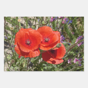 POPPY FLOWERS WRAPPING PAPER SHEETS