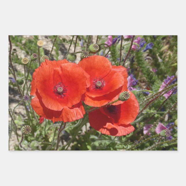 POPPY FLOWERS WRAPPING PAPER SHEETS (Front)
