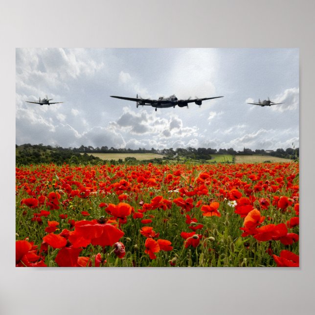 Poppy Flypast Poster (Front)