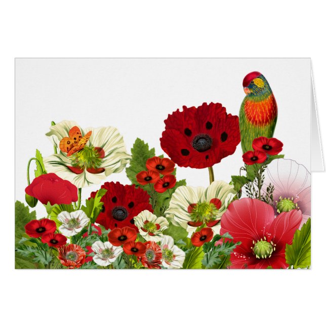 Poppy Garden with a Lorikeet Parrot Blank Cards (Front Horizontal)