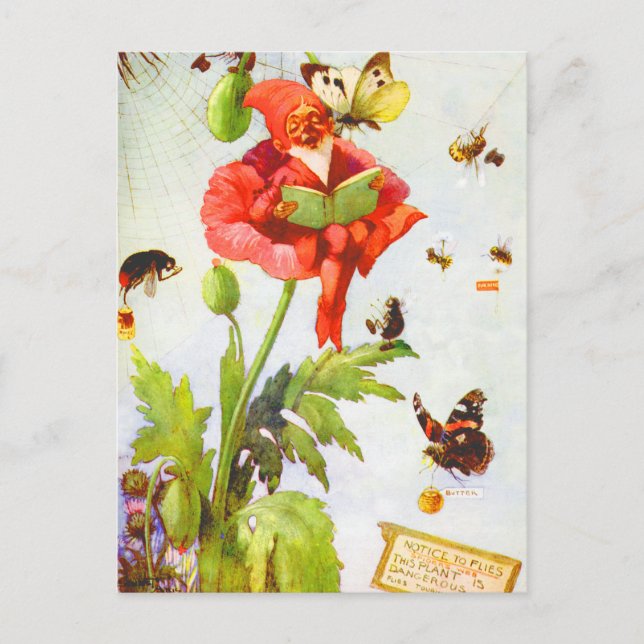 Poppy Gnome Postcard (Front)