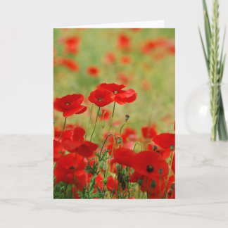 Poppy Greetings Card