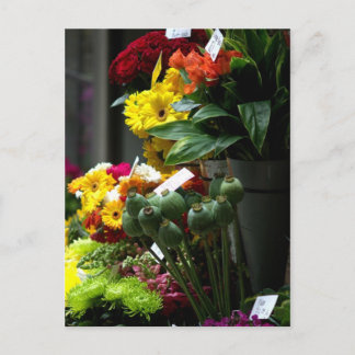 Poppy Heads Postcard