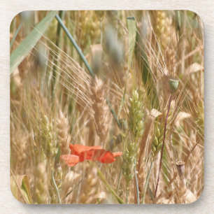 Poppy in a barley field hard plastic coasters