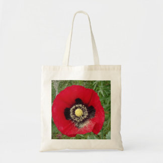 Poppy in red tote bag