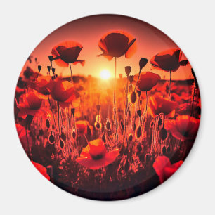 poppy in the back light magnet