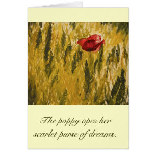 Poppy in the Wheat Field Cards