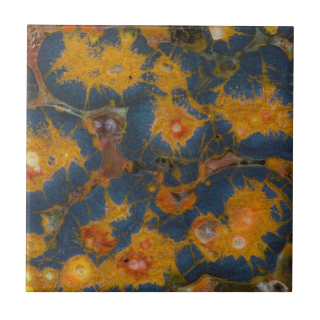 Poppy Jasper Ceramic Tile (Front)