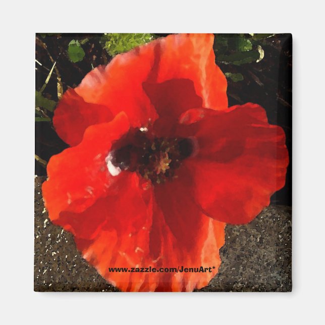 Poppy Magnet (Front)