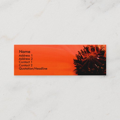 Customizable Poppy Business Card Templates