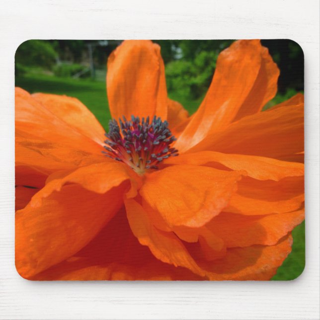Poppy Mouse Pad (Front)
