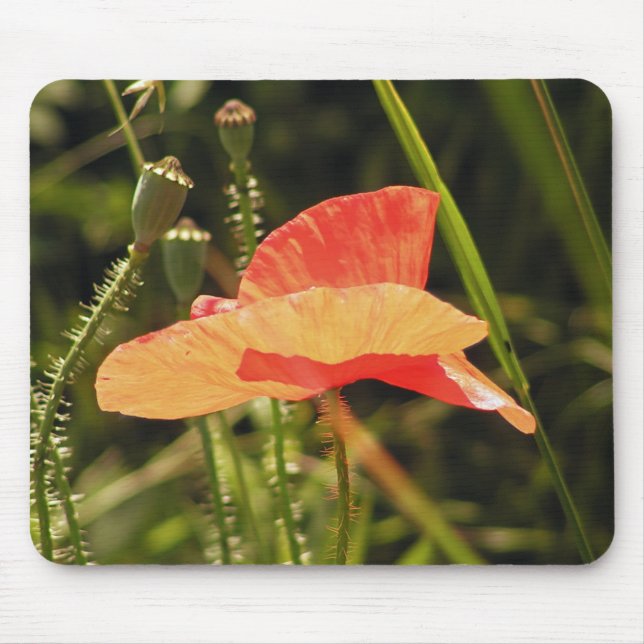 Poppy Mousepad (Front)