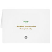 Poppy, Newgrange, Northern Ireland (Back Horizontal)