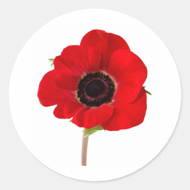 POPPY of Remembrance Classic Round Sticker (Front)