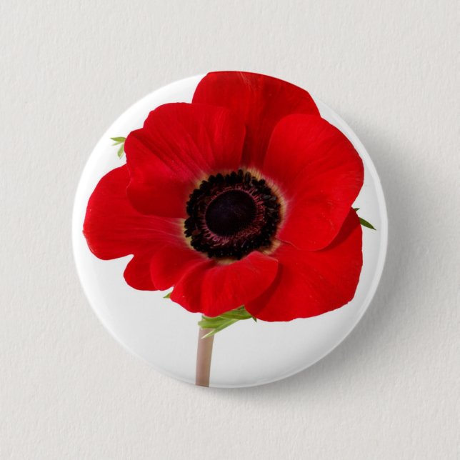 POPPY of Remembrance Pinback Button (Front)