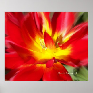 Poppy on Fire! Poster