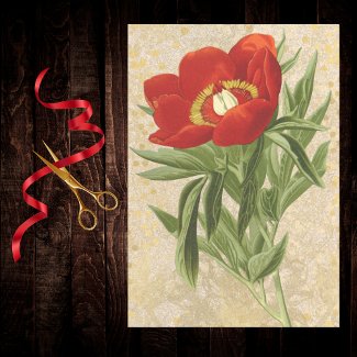 Poppy on Gold Dotted Damask Red Gold Vintage
