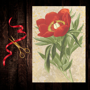 Poppy on Gold Dotted Damask Red Gold Vintage Tissue Paper