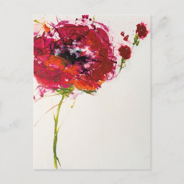 Poppy on White Postcard (Front)