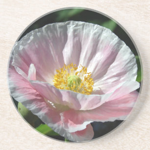 Poppy Painting Drink Coaster