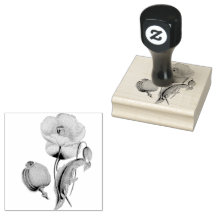  Poppy Pods Flowers Floral Vintage