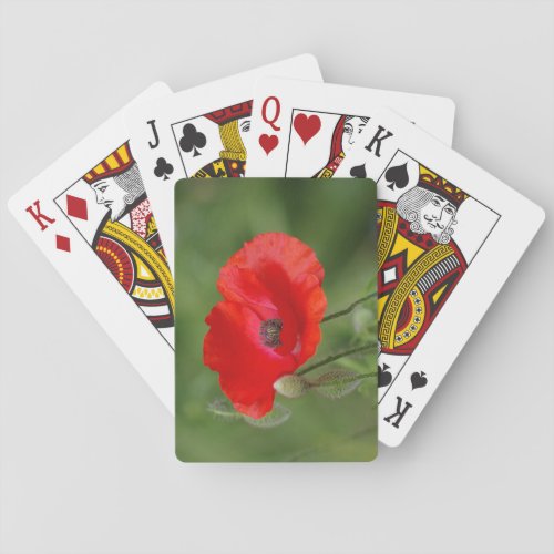 Poppy Poker Cards