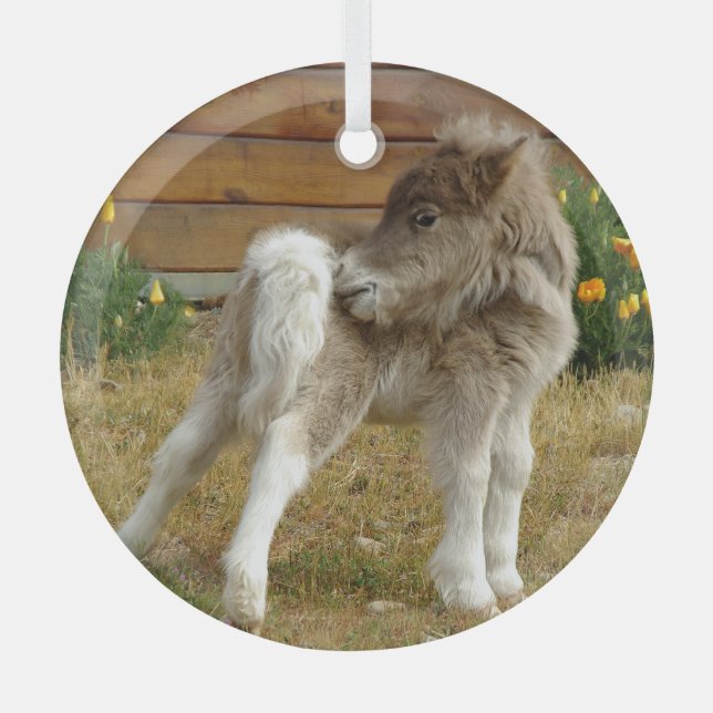 Poppy Pony Glass Ornament (Front)