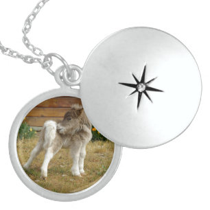 Poppy Pony Locket Necklace