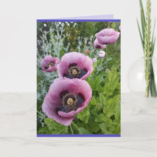 Poppy Poppies Pink purple Flowers Birthday Card
