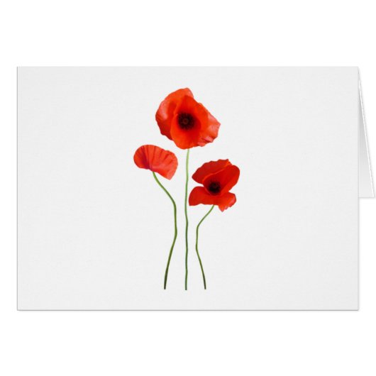 poppy - poppy cards (Front Horizontal)