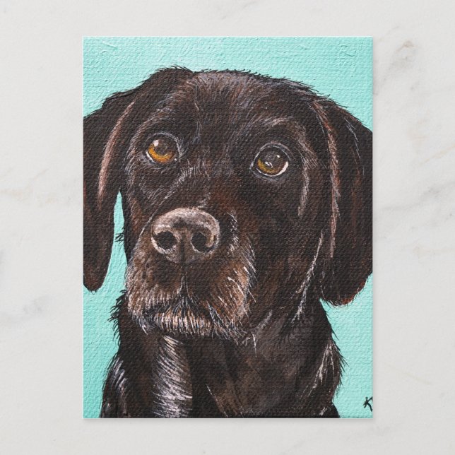 Poppy Postcard (Front)