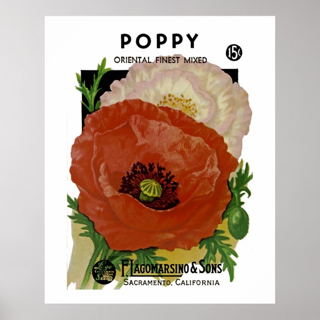 Poppy Poster (Front)