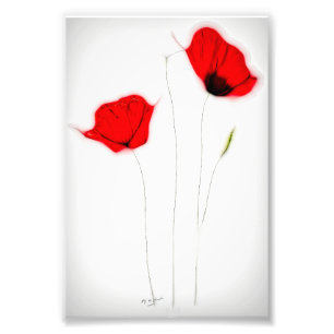 POPPY POSTER