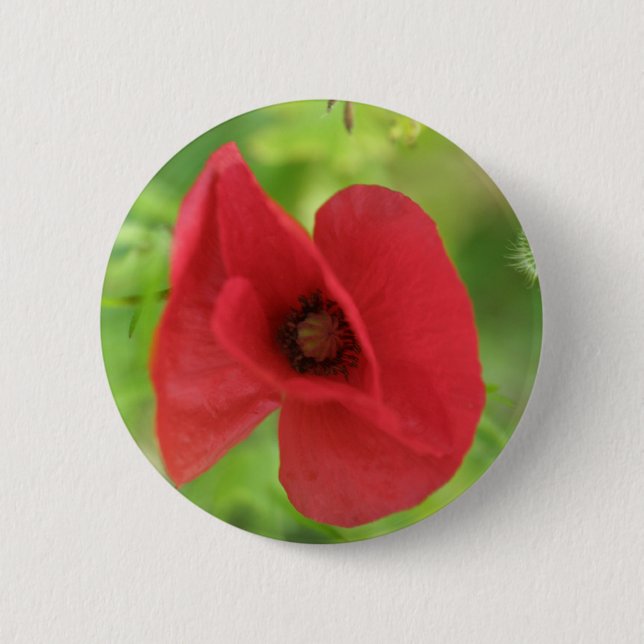 Poppy Red Pinback Button (Front)