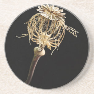 Poppy Sandstone Coaster