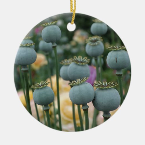 Poppy Seed Heads Ornament