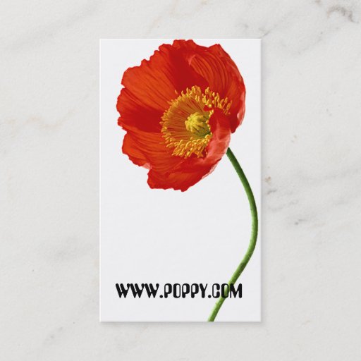 Customizable Poppy Simplicity Business Card