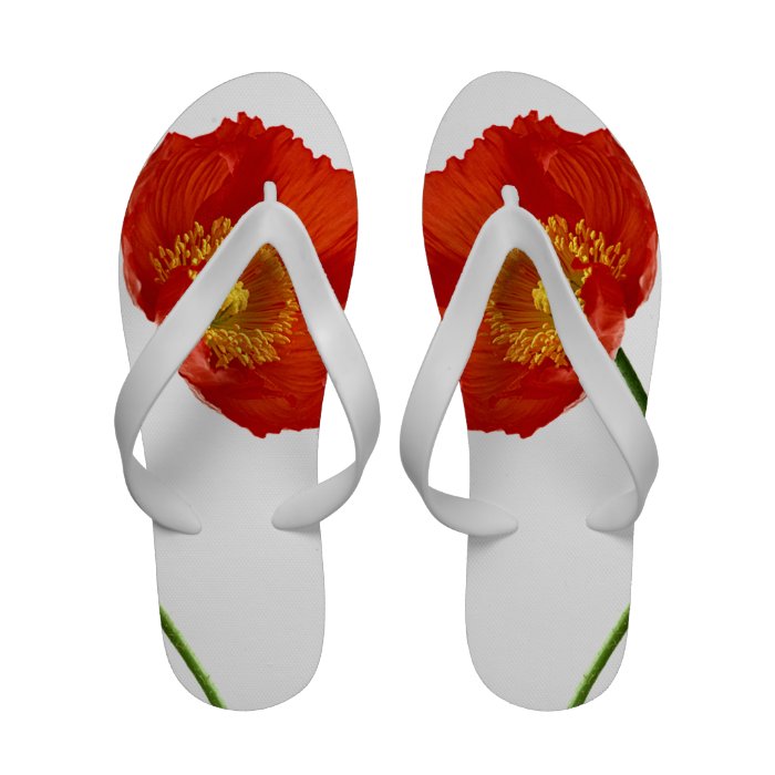 Poppy Simplicity Flip Flops