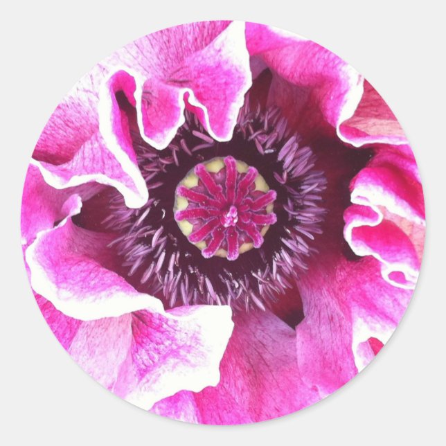 Poppy Sticker (Front)