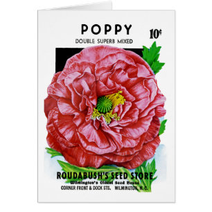 Poppy Vintage Seed Packet Cards