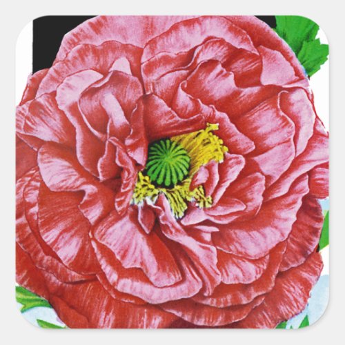 Poppy Vintage Seed Packet Square Sticker