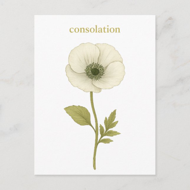 Poppy (white) — Consolation Postcard (Front)