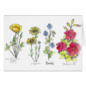 Poppy Wildflower Botanical Ink Drawing Watercolor (Front Horizontal)