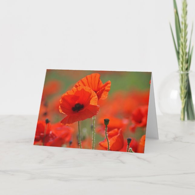 Poppys. Card (Front)