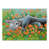 Poppy's Poppies (Front Horizontal)