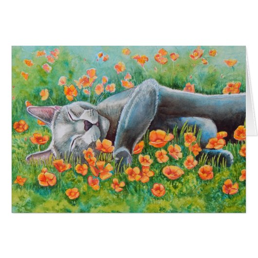 Poppy's Poppies Cards (Front Horizontal)
