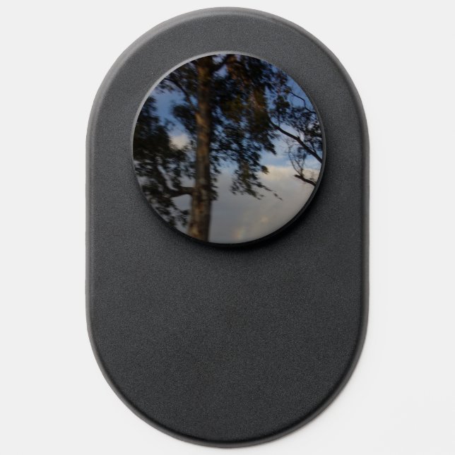 PopSocket ART AND DESIGN (Popsocket)