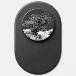 PopSocket ART AND DESIGN